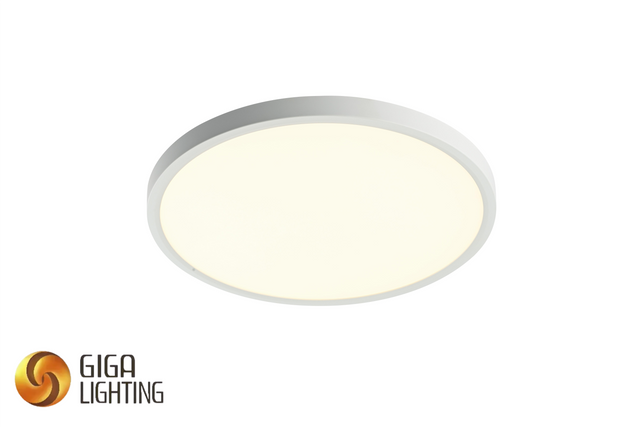 IP40 Ultra-mince D23CM en plastique rond blanc LED plafonnier moderne 3CCT Surface panneau lampe