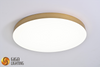 IP40 LED Dimmable plafonnier Ultra-mince lampe ronde balcon chambre lumière allée couloir lumière