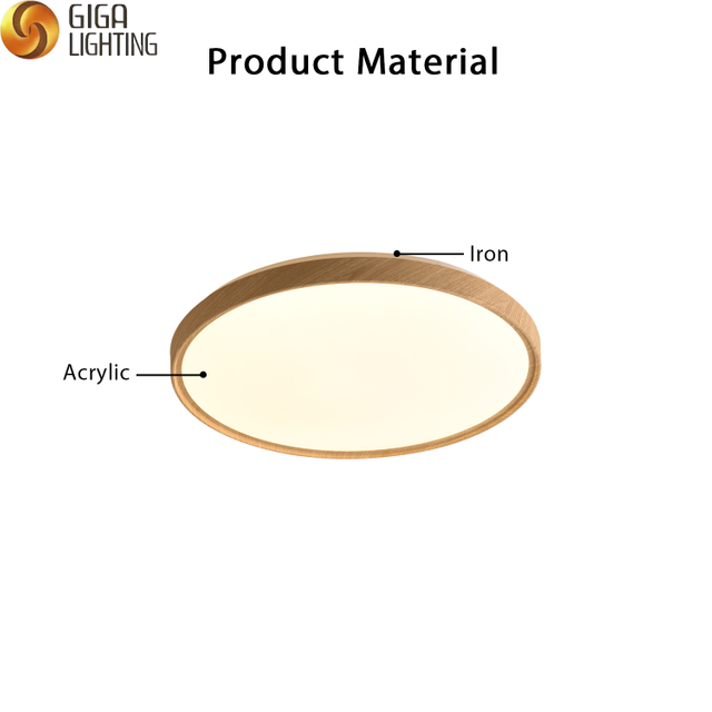  Usine d'éclairage de plafond LED acrylique en fer rond nordique VDE