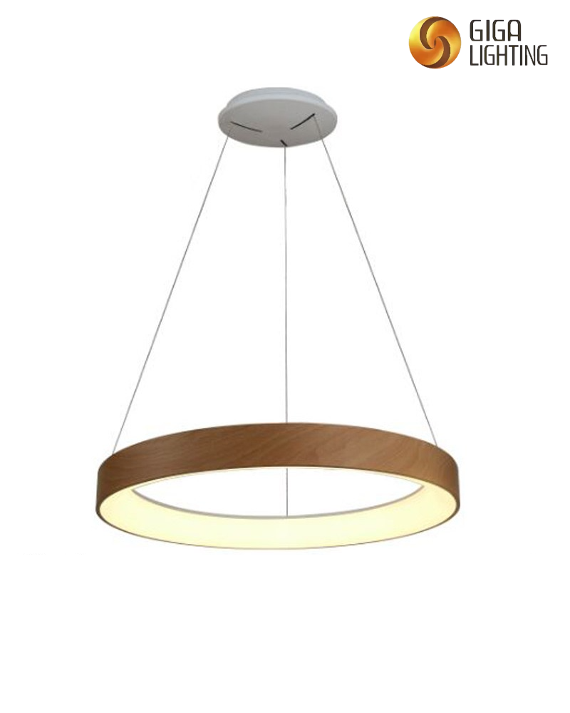 Lampe suspendue en anneau LED minimaliste originale, lustre rond créatif