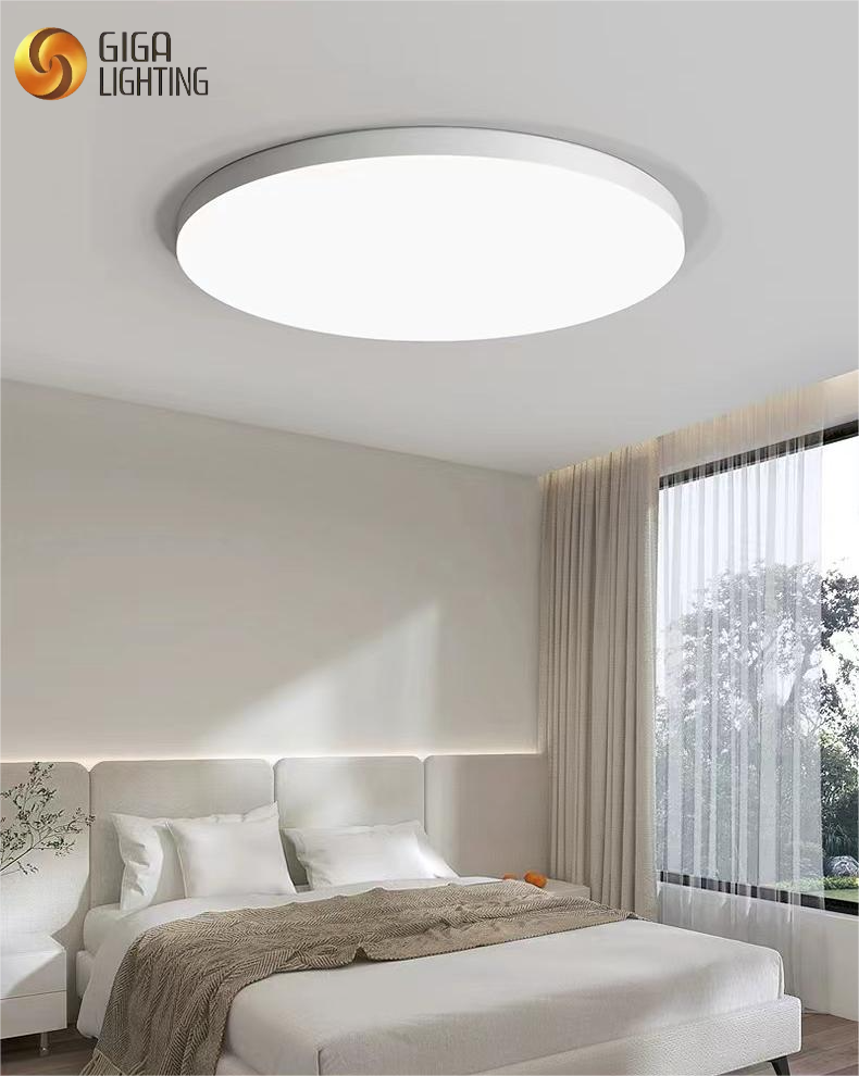 IP40 LED Dimmable plafonnier Ultra-mince lampe ronde balcon chambre lumière allée couloir lumière