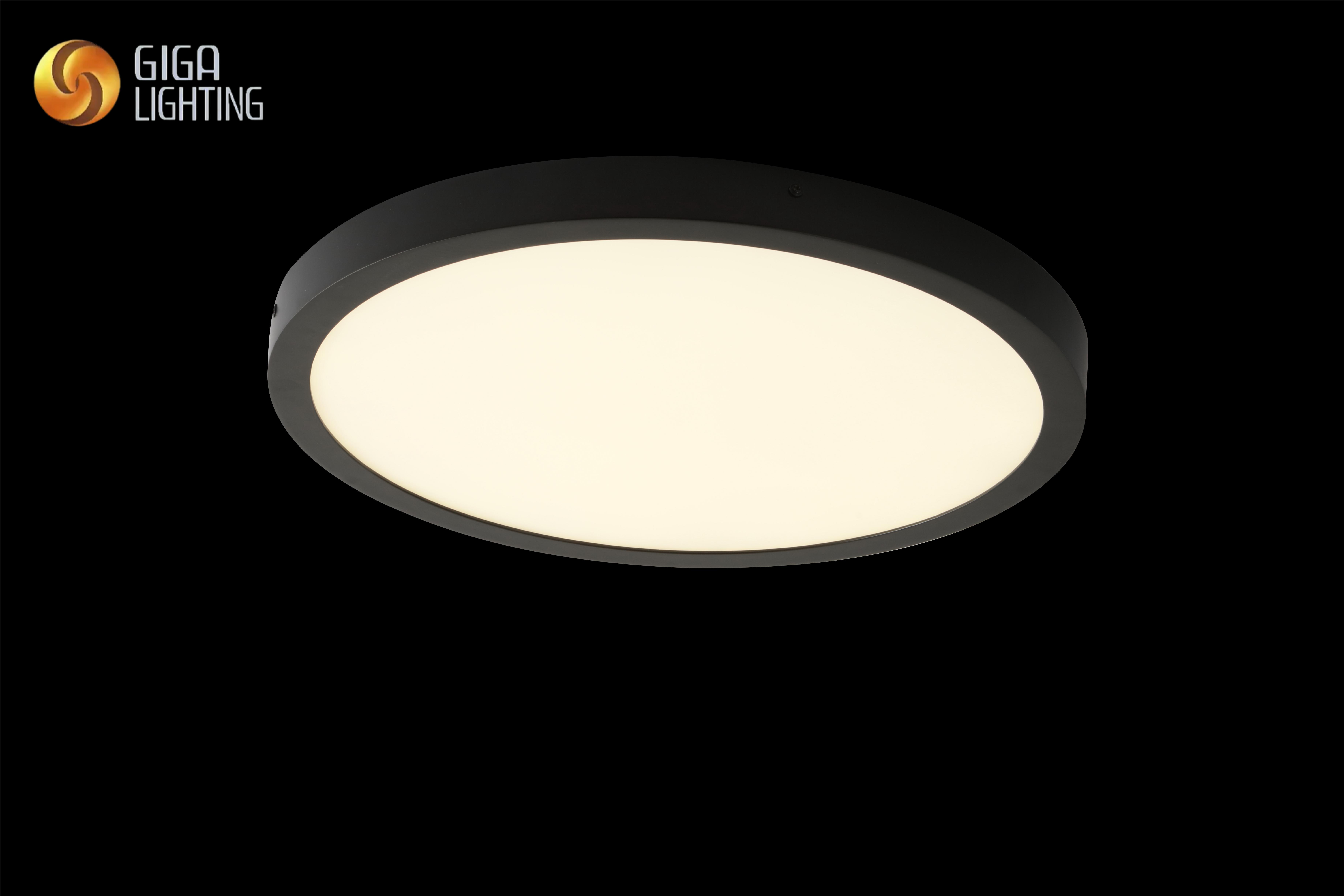 Le panneau lumineux mené par Surface standard européen 3CCT DIP allume la salle de bains IP40 rond Ultra-mince ABS 