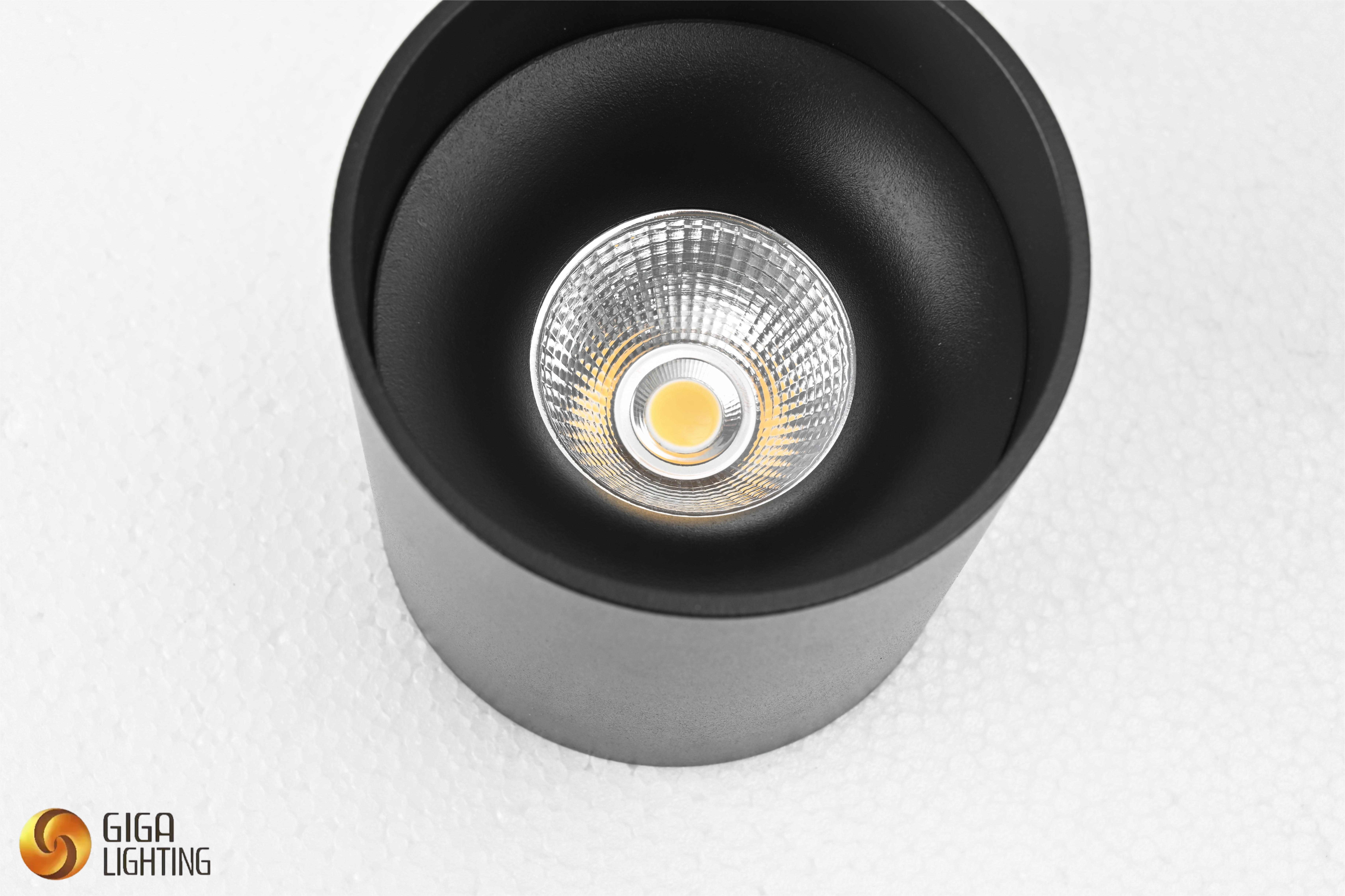 CE VDE LED downlight Spot de Plafond Monté en Surface Plafonnier Noir Mat, Prise GU10, Spot Moderne Rond Spot de Plafond en Aluminium pour Salon, Cuisine, Maison, Bureau, Couloir