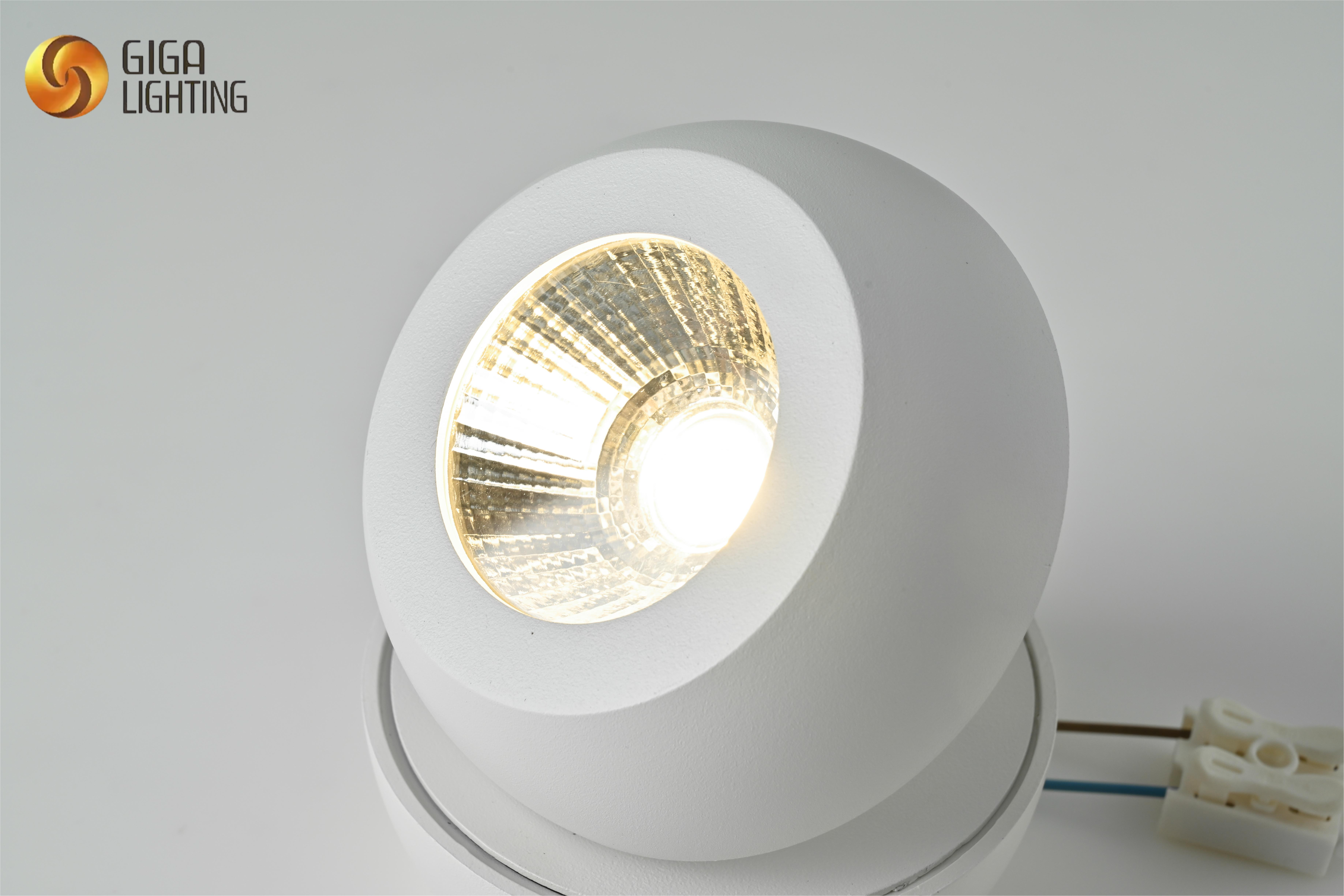 Projecteur LED Brillance sans effort : Découvrez nos spots montés au plafond – Conçus pour l'efficacité, conçus pour l'impact.Disponible pour la vente en gros en usine.Élevez avec réglable, LED et moderne.